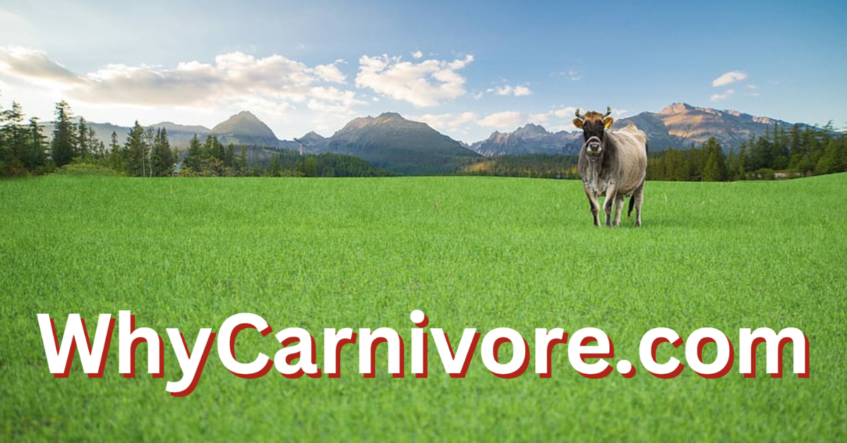 whycarnivore.com