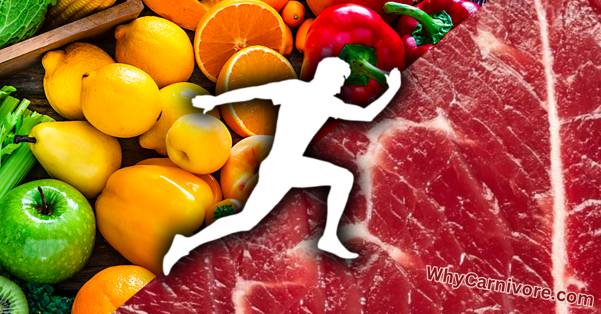 vegan to carnivore